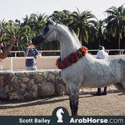 Haras Al Hoscan OPEN HOUSE 2018 BRAZIL