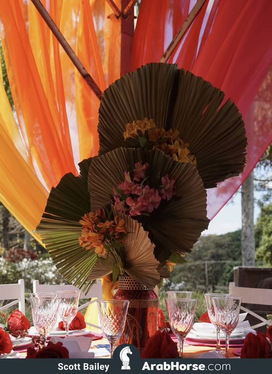 Haras Al Hoscan OPEN HOUSE 2018 BRAZIL