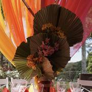 Haras Al Hoscan OPEN HOUSE 2018 BRAZIL