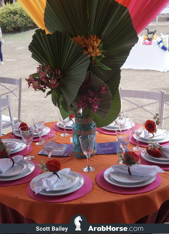 Haras Al Hoscan OPEN HOUSE 2018 BRAZIL