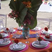 Haras Al Hoscan OPEN HOUSE 2018 BRAZIL