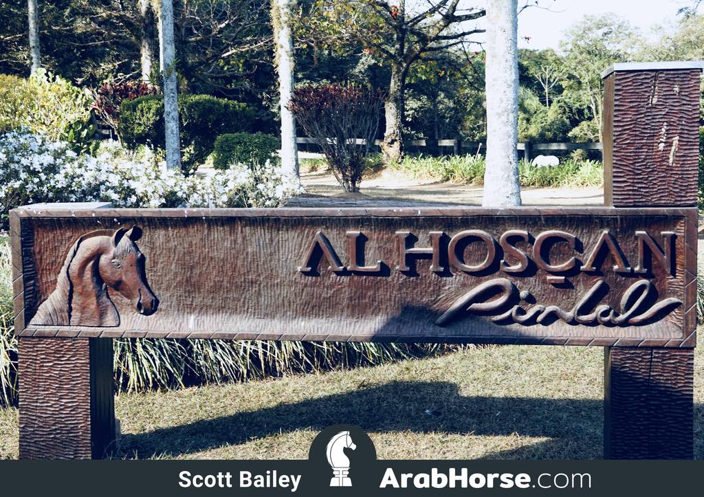 Haras Al Hoscan OPEN HOUSE 2018 BRAZIL
