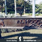 Haras Al Hoscan OPEN HOUSE 2018 BRAZIL