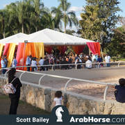 Haras Al Hoscan OPEN HOUSE 2018 BRAZIL