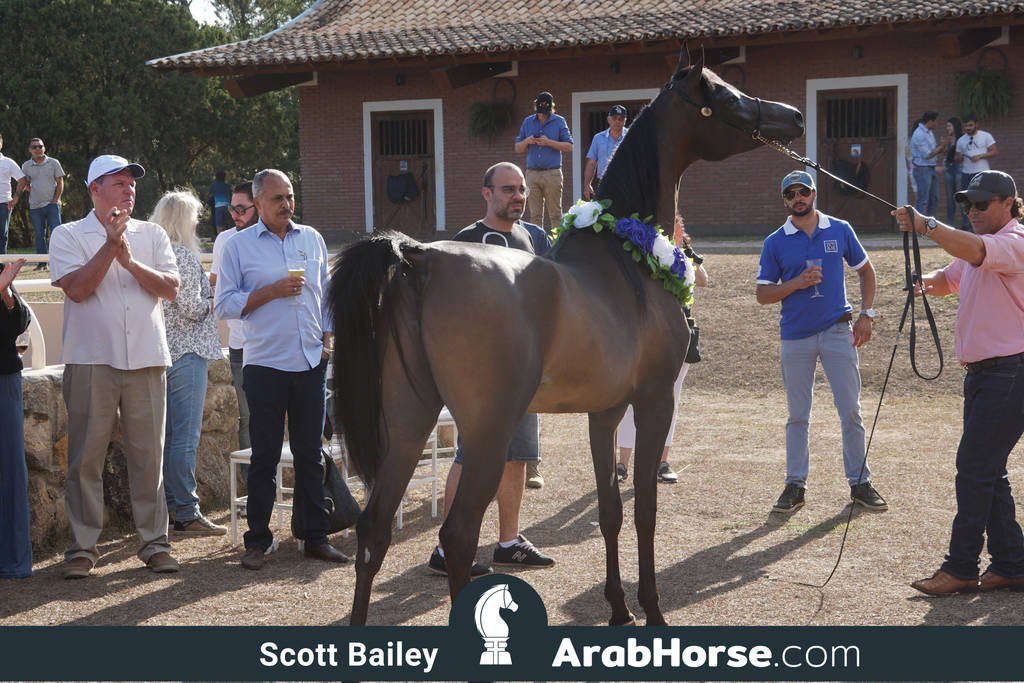 Haras Al Hoscan OPEN HOUSE 2018 BRAZIL