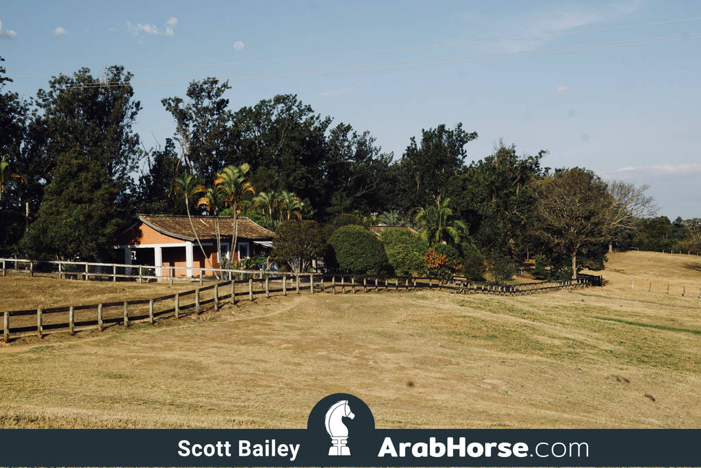 Haras Al Hoscan OPEN HOUSE 2018 BRAZIL