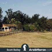 Haras Al Hoscan OPEN HOUSE 2018 BRAZIL
