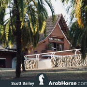 Haras Al Hoscan OPEN HOUSE 2018 BRAZIL