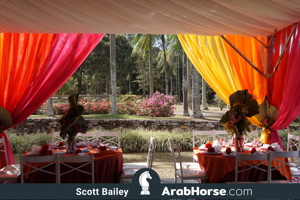 Haras Al Hoscan OPEN HOUSE 2018 BRAZIL