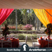 Haras Al Hoscan OPEN HOUSE 2018 BRAZIL