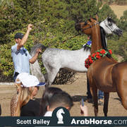 Haras Al Hoscan OPEN HOUSE 2018 BRAZIL
