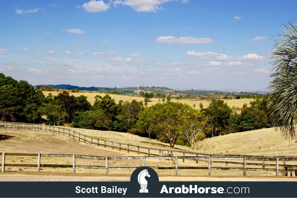 Haras Al Hoscan OPEN HOUSE 2018 BRAZIL