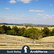 Haras Al Hoscan OPEN HOUSE 2018 BRAZIL