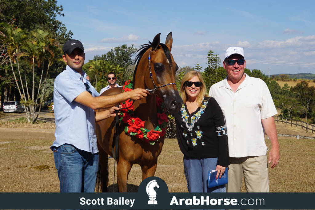 Haras Al Hoscan OPEN HOUSE 2018 BRAZIL