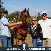 Haras Al Hoscan OPEN HOUSE 2018 BRAZIL