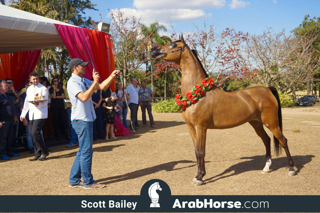 Haras Al Hoscan OPEN HOUSE 2018 BRAZIL