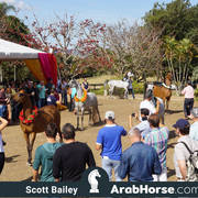 Haras Al Hoscan OPEN HOUSE 2018 BRAZIL