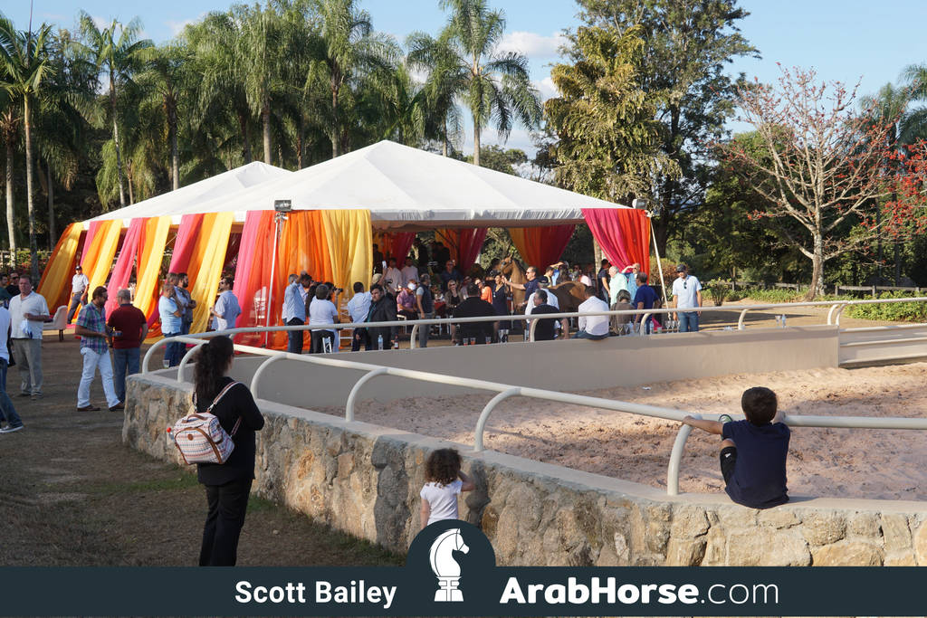 Haras Al Hoscan OPEN HOUSE 2018 BRAZIL