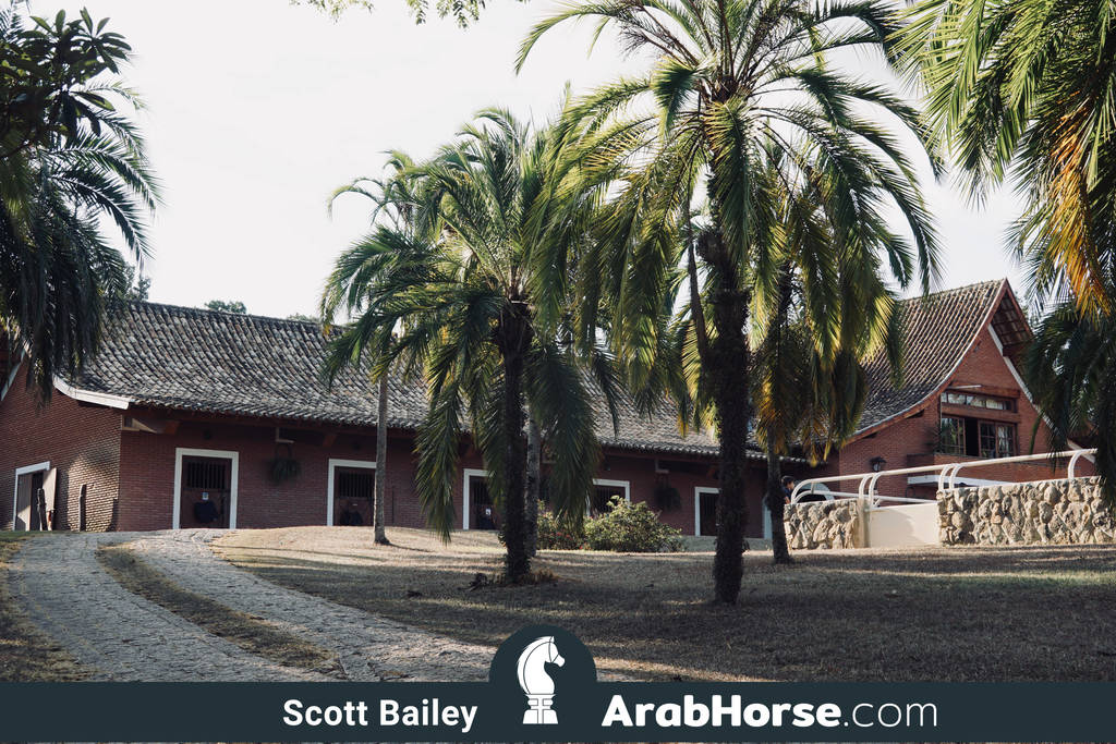 Haras Al Hoscan OPEN HOUSE 2018 BRAZIL