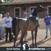 Haras Al Hoscan OPEN HOUSE 2018 BRAZIL