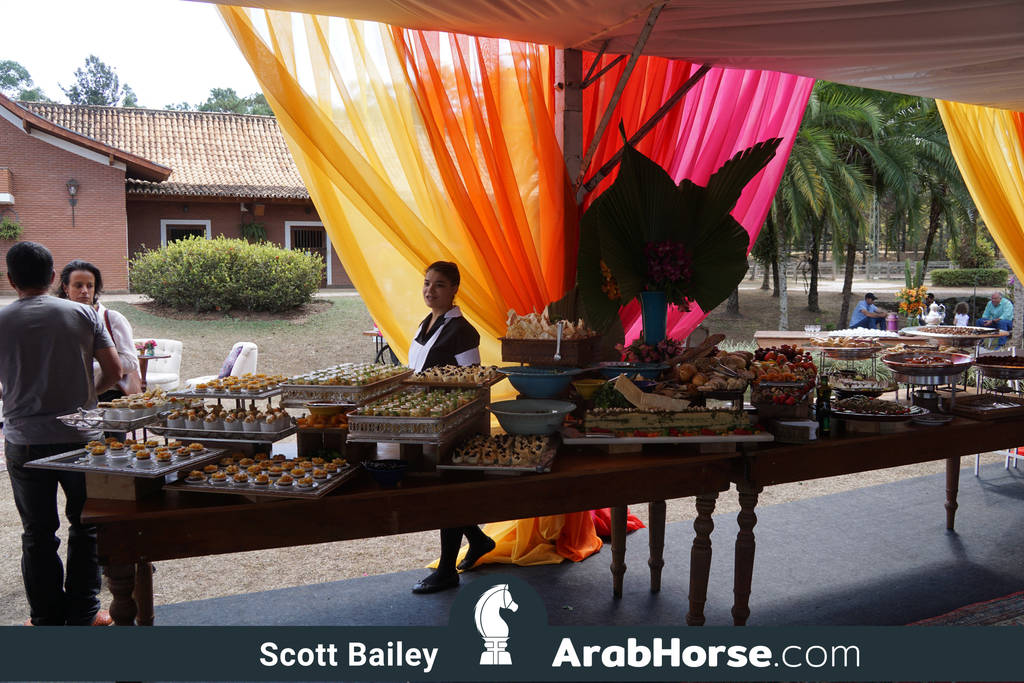 Haras Al Hoscan OPEN HOUSE 2018 BRAZIL