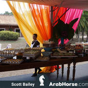 Haras Al Hoscan OPEN HOUSE 2018 BRAZIL