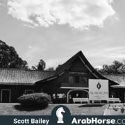 Haras Al Hoscan OPEN HOUSE 2018 BRAZIL