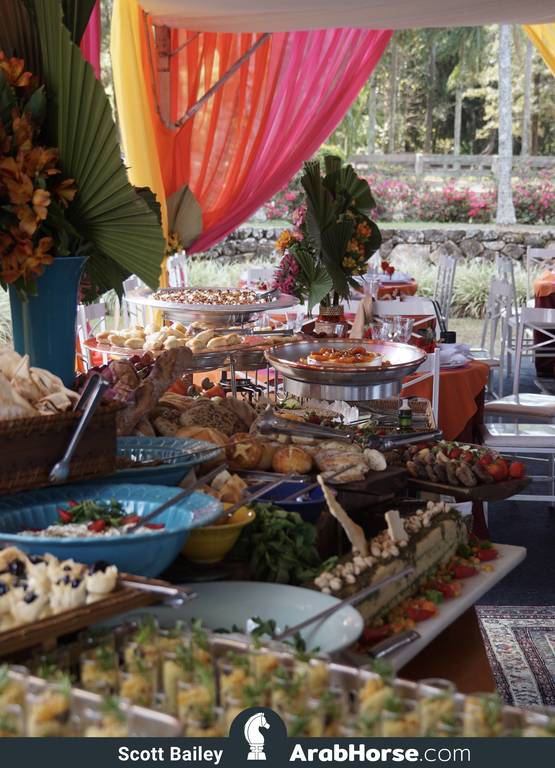 Haras Al Hoscan OPEN HOUSE 2018 BRAZIL