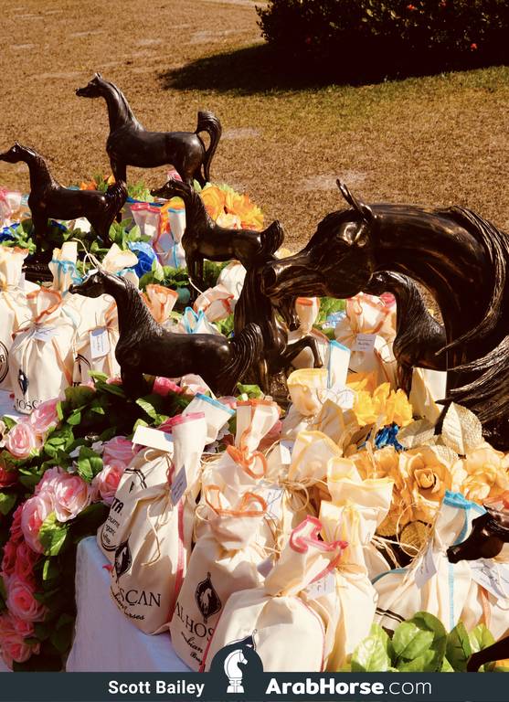 Haras Al Hoscan OPEN HOUSE 2018 BRAZIL