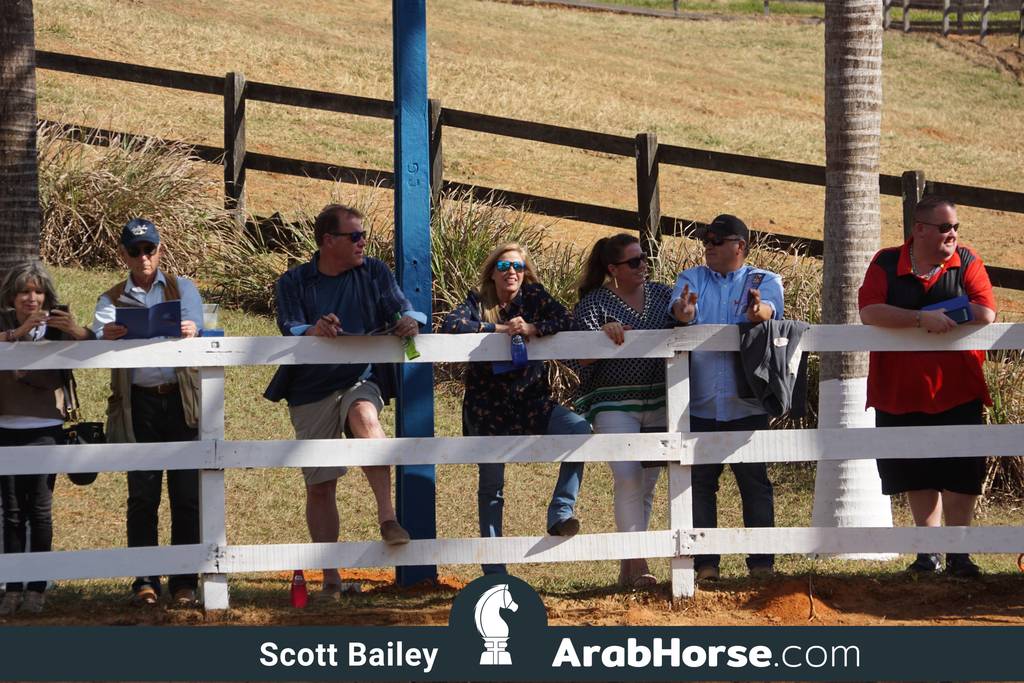 Haras Vale Formoso OPEN HOUSE 2018 BRAZIL