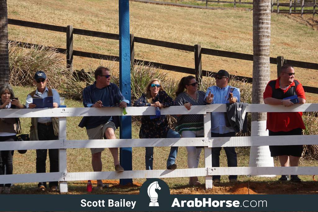 Haras Vale Formoso OPEN HOUSE 2018 BRAZIL