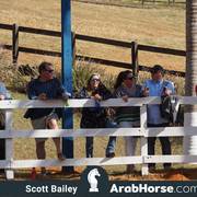 Haras Vale Formoso OPEN HOUSE 2018 BRAZIL