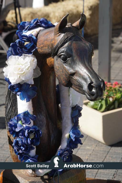 Haras Vale Formoso OPEN HOUSE 2018 BRAZIL