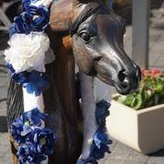 Haras Vale Formoso OPEN HOUSE 2018 BRAZIL
