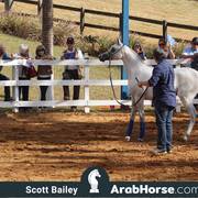 Haras Vale Formoso OPEN HOUSE 2018 BRAZIL