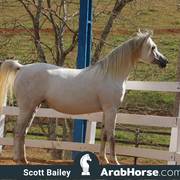 Haras Vale Formoso OPEN HOUSE 2018 BRAZIL