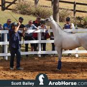 Haras Vale Formoso OPEN HOUSE 2018 BRAZIL