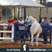Haras Vale Formoso OPEN HOUSE 2018 BRAZIL