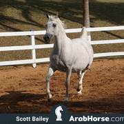 Haras Vale Formoso OPEN HOUSE 2018 BRAZIL