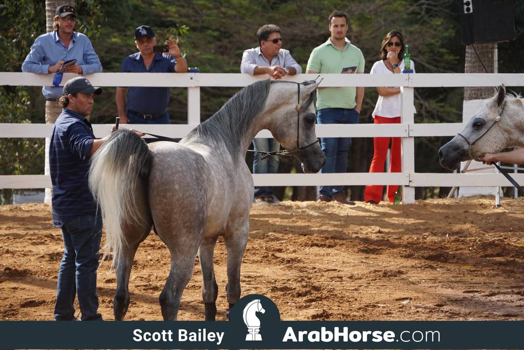 Haras Vale Formoso OPEN HOUSE 2018 BRAZIL