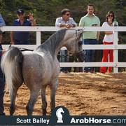 Haras Vale Formoso OPEN HOUSE 2018 BRAZIL