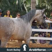 Haras Vale Formoso OPEN HOUSE 2018 BRAZIL