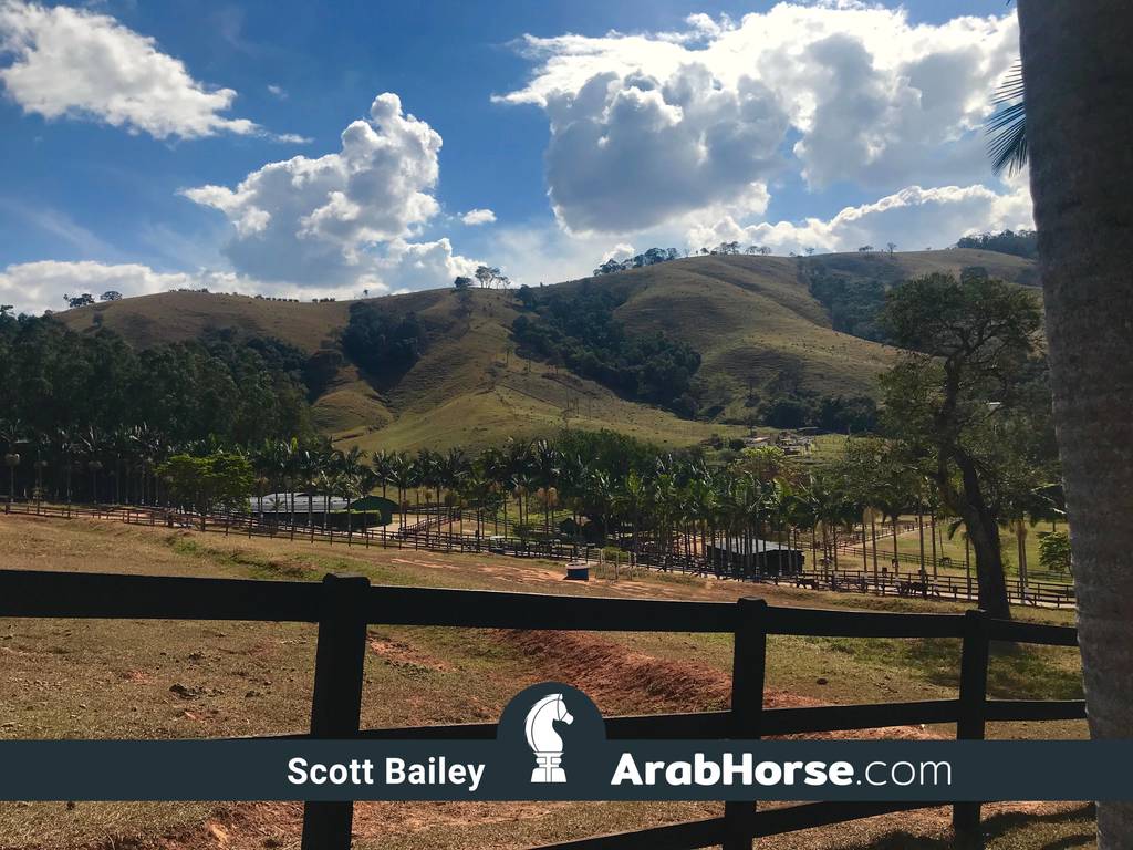 Haras Vale Formoso OPEN HOUSE 2018 BRAZIL