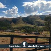 Haras Vale Formoso OPEN HOUSE 2018 BRAZIL