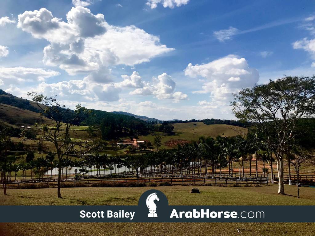 Haras Vale Formoso OPEN HOUSE 2018 BRAZIL