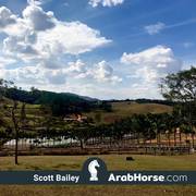 Haras Vale Formoso OPEN HOUSE 2018 BRAZIL