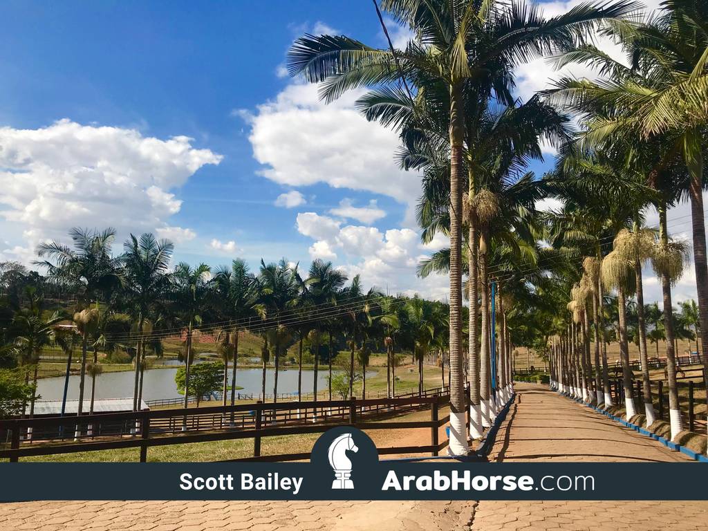 Haras Vale Formoso OPEN HOUSE 2018 BRAZIL