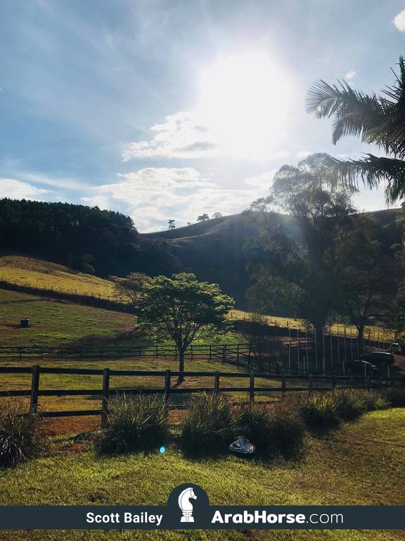 Haras Vale Formoso OPEN HOUSE 2018 BRAZIL