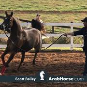 Haras Vale Formoso OPEN HOUSE 2018 BRAZIL