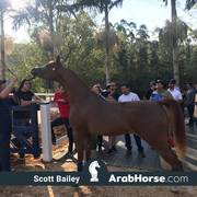Haras Vale Formoso OPEN HOUSE 2018 BRAZIL